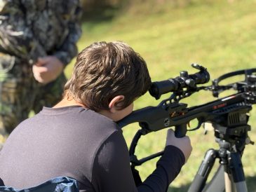 article image - deer 2